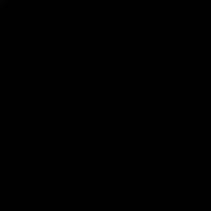 Meet your Posher, Adelyn